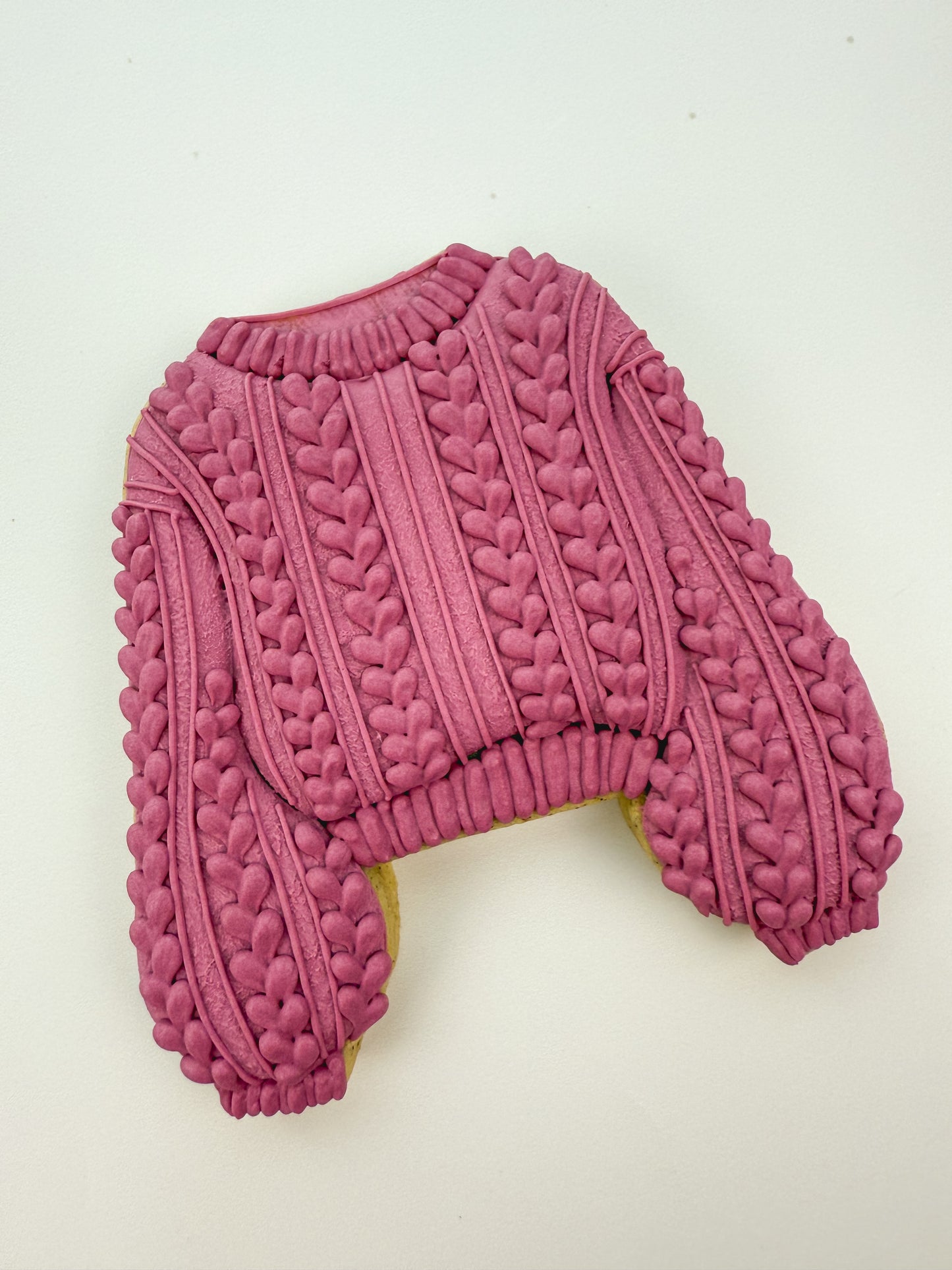 Cozy Autumn Cookie Online Workshop